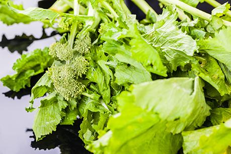 Cime di rapa - italienischer Brokkoli