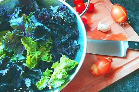 Flower Sprouts: Kohlneuling