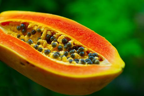 Papaya