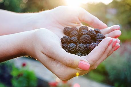 Corinna sagt: Brombeeren aus der Schatzkammer Wald