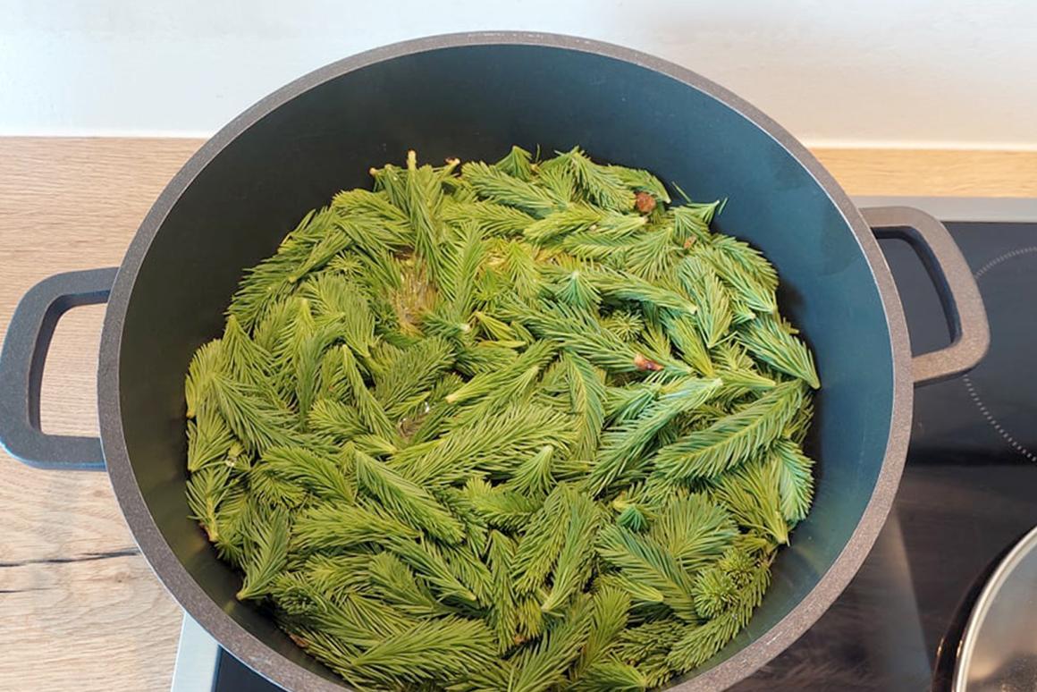 Tannenschössli einkochen