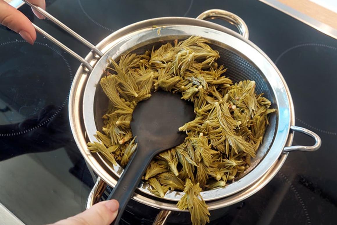 Tannenschössli ausdrücken