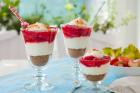 Tiramisu mit Rhabarber