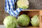 Top 10 Kohl- und Kabisrezepte