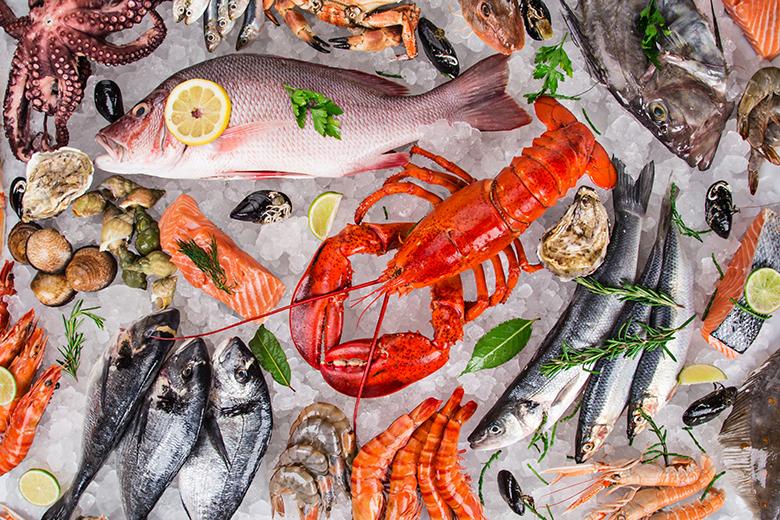 Warenkunde Fisch & Meeresfrüchte