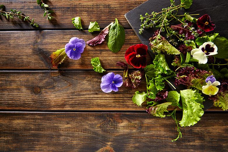 Rezepte aus der Natur