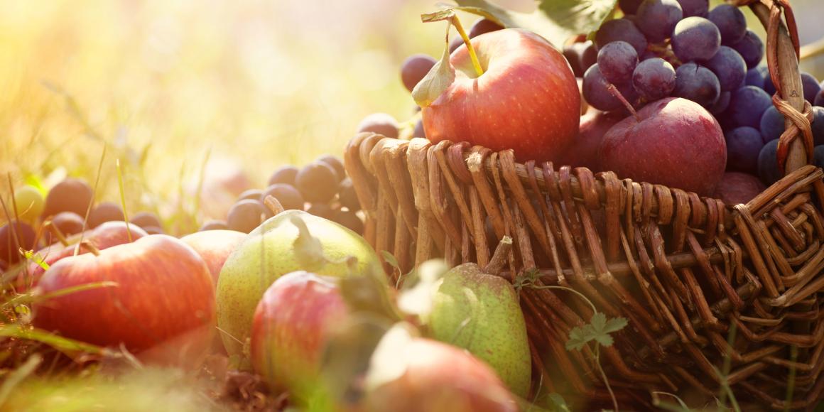 Obstgarten: Planung bis Ernte