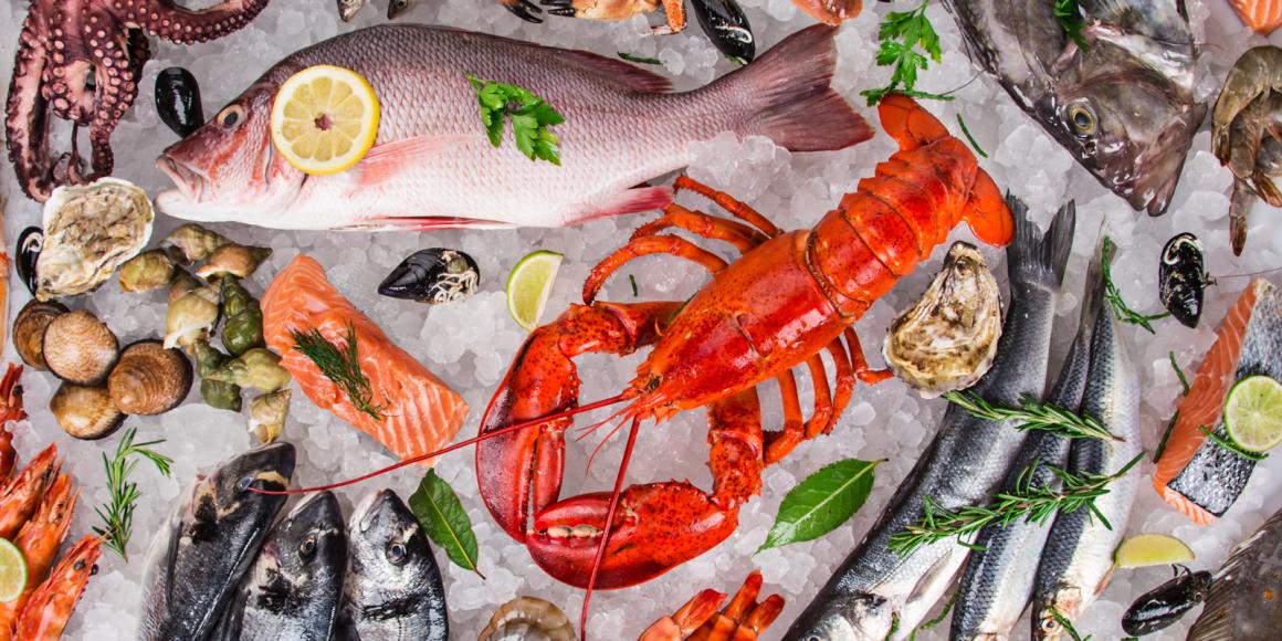 Warenkunde Fisch & Meeresfrüchte