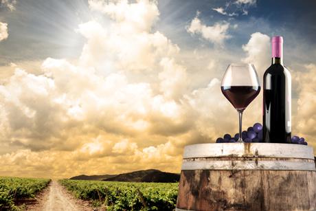 Weinländer