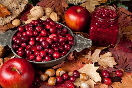 Herbst Rezepte