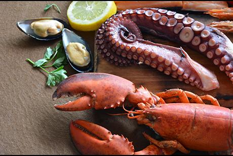 Meeresfrüchte Rezepte