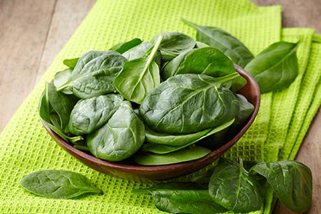 Spinat Rezepte
