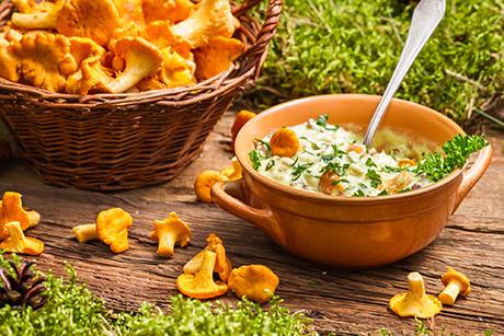 Eierschwämme Rezepte