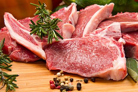 Lamm Rezepte