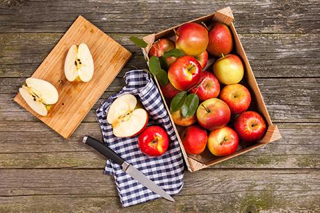 Apfel Rezepte