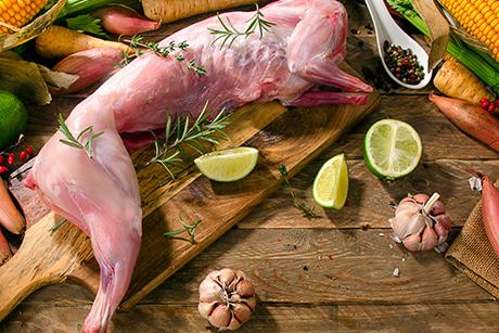 Kaninchen Rezepte