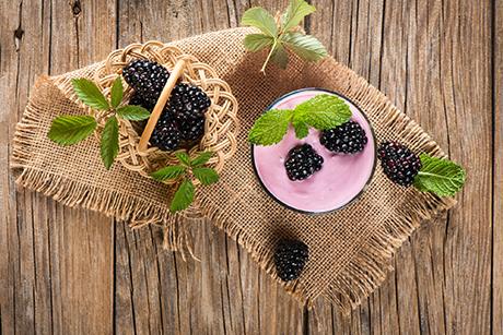 Brombeeren Rezepte