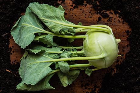 Kohlrabi Rezepte