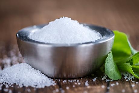 Stevia Rezepte