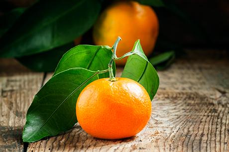 Mandarinen Rezepte