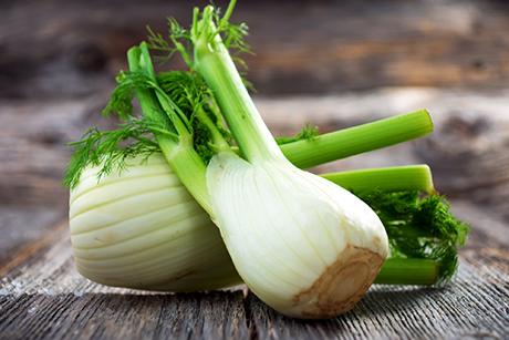 Fenchel Rezepte