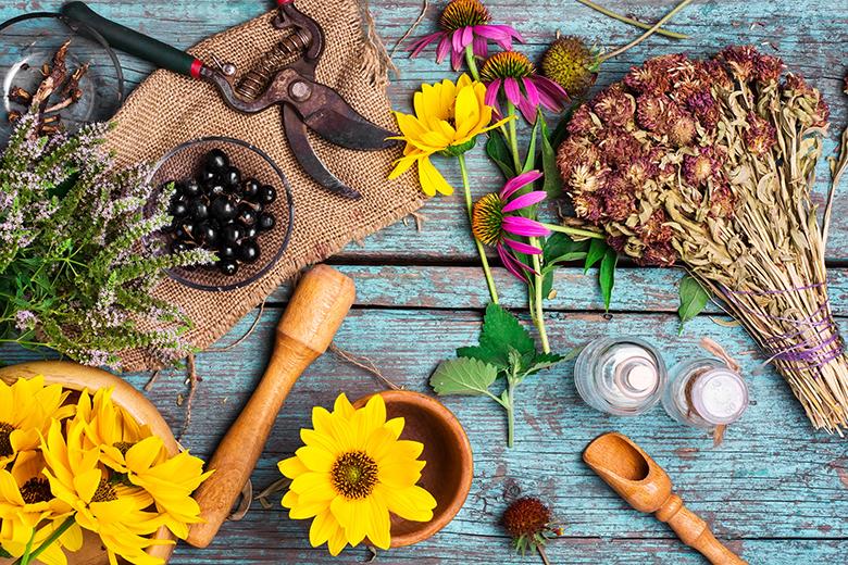 Blüten- und Blumenrezepte