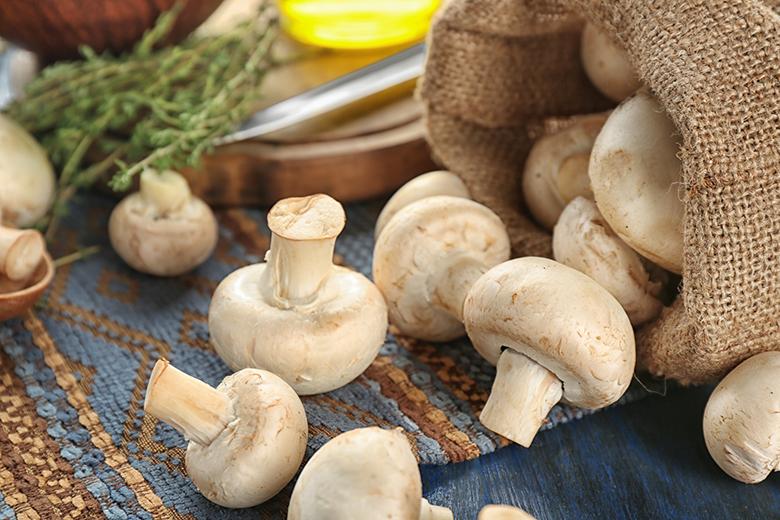 Champignon Rezepte