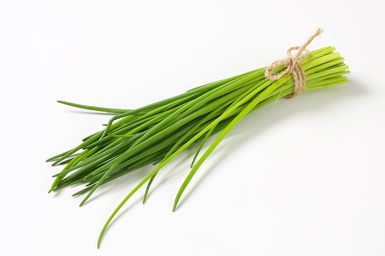 Schnittlauch Rezepte