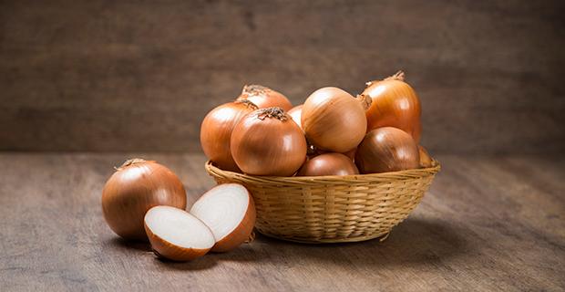 Zwiebel Rezepte