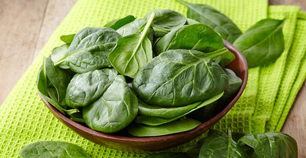 Spinat Rezepte
