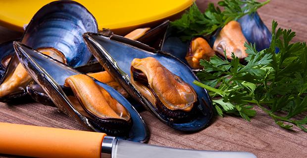 Muscheln Rezepte