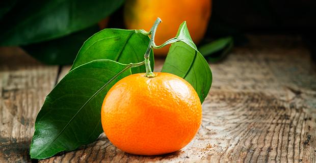 Mandarinen Rezepte