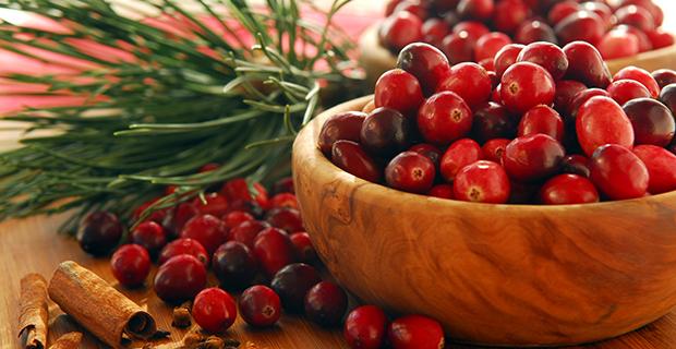 Cranberry Rezepte