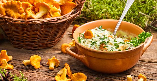 Eierschwämme Rezepte