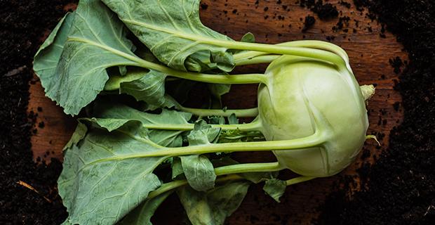 Kohlrabi Rezepte