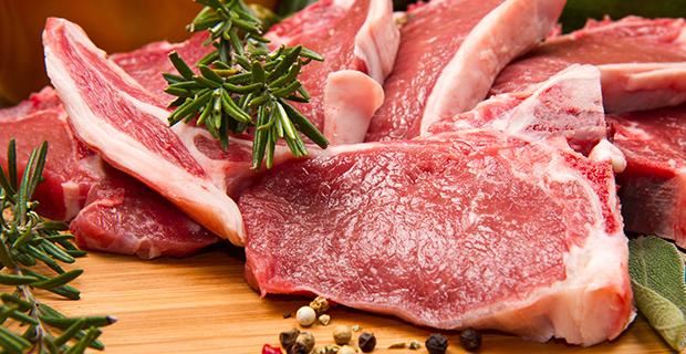 Lamm Rezepte