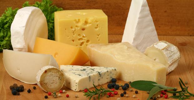 Käse Rezepte