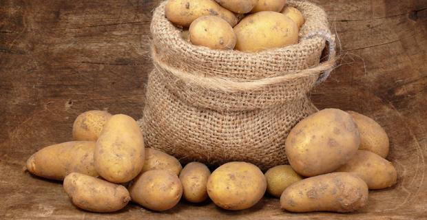 Kartoffel Rezepte