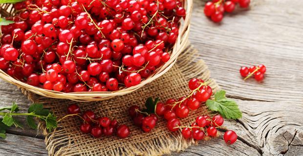 Johannisbeere Rezepte