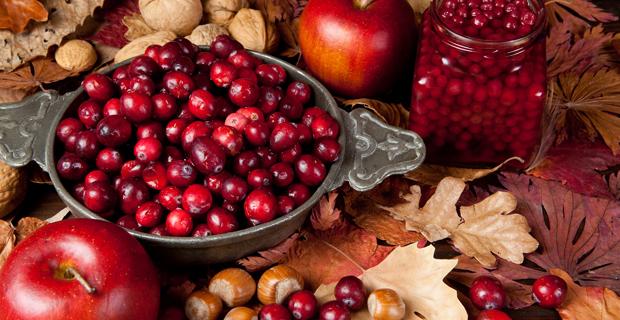 Herbst Rezepte