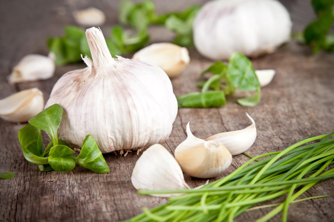Knoblauch-Rezepte