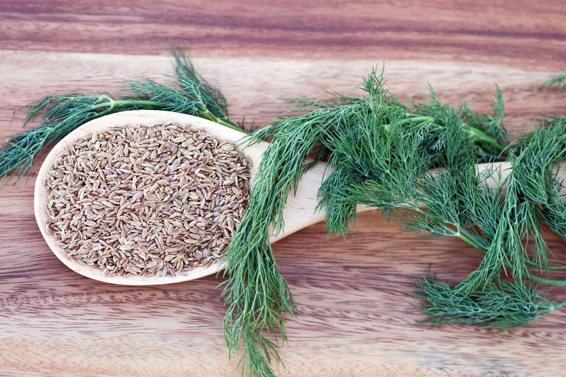 Dill Rezepte