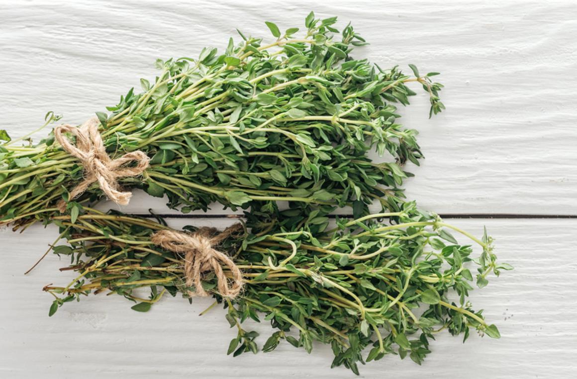 Thymian Rezepte