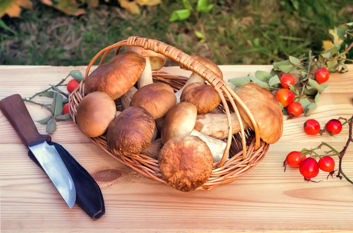 Steinpilz Rezepte