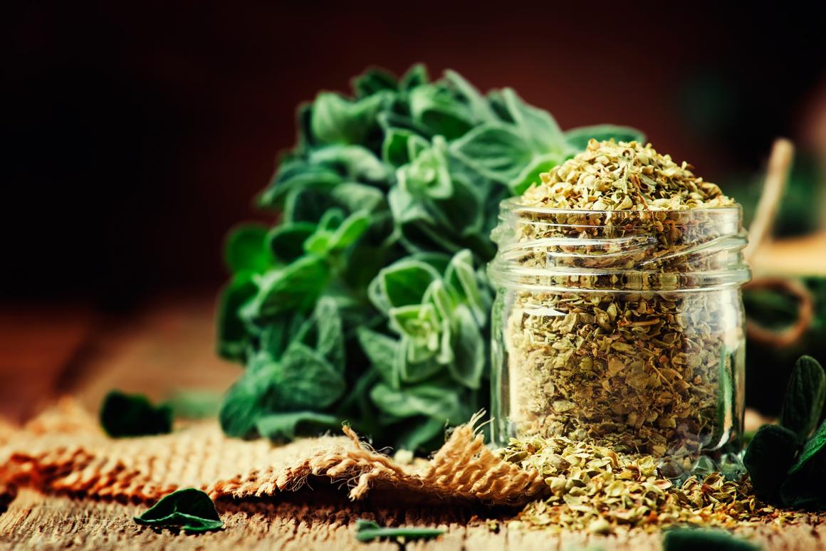 Oregano Rezepte