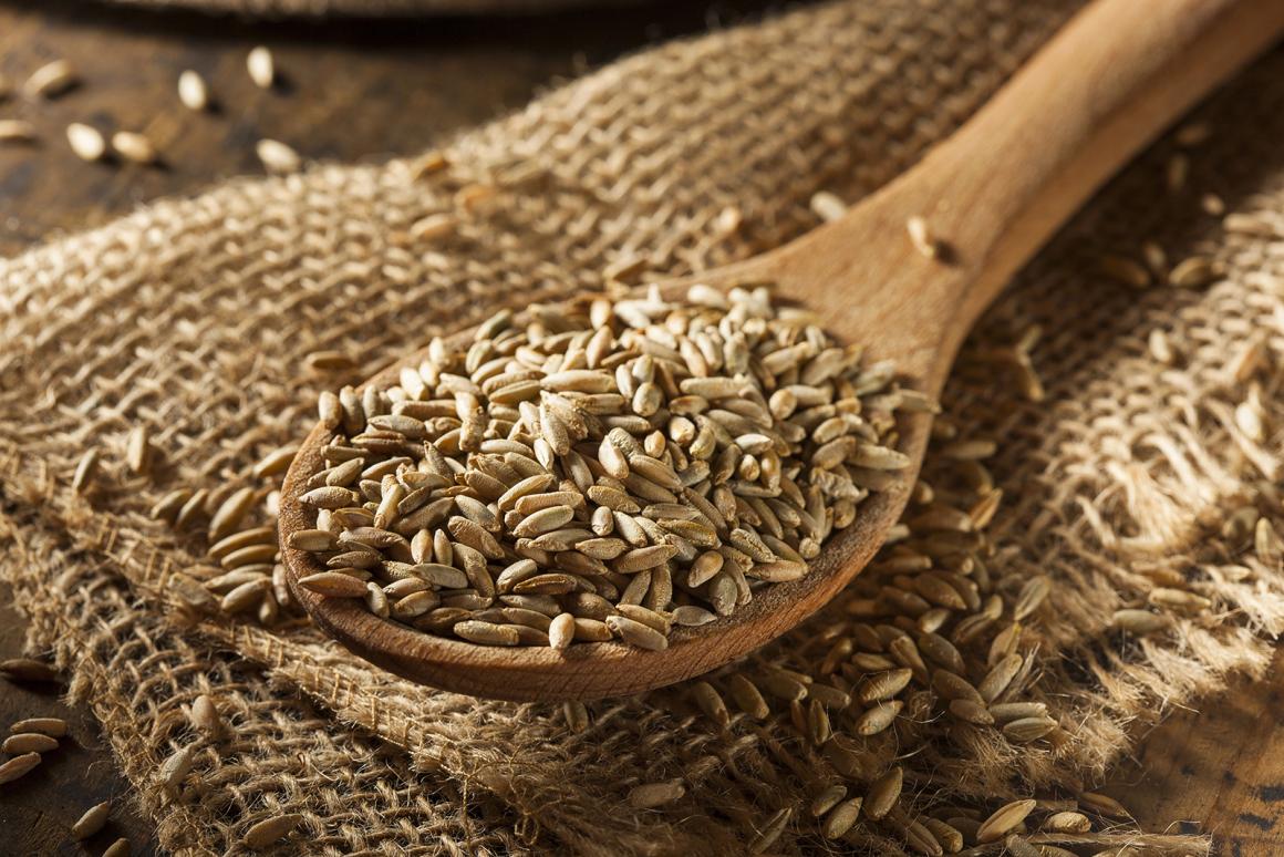 Roggen Rezepte