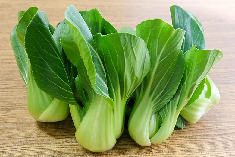 Pak Choi Rezepte