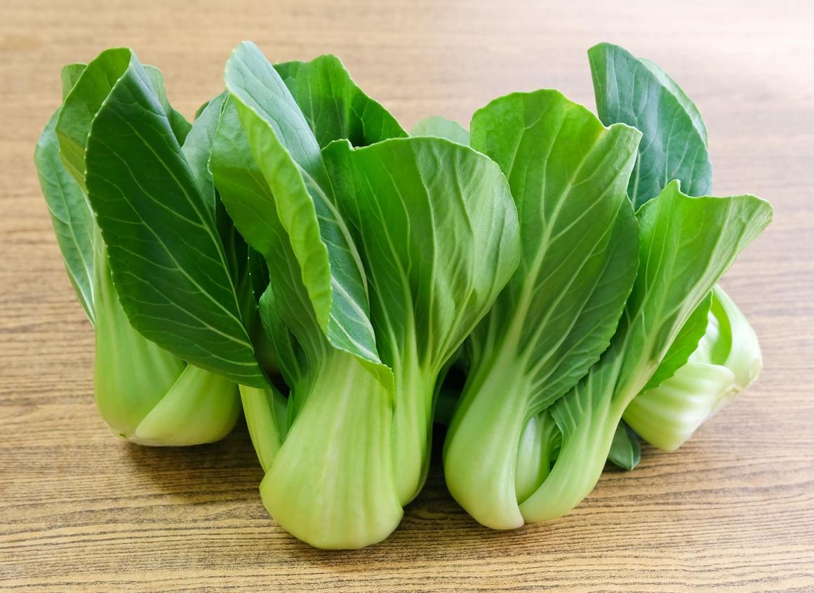 Pak Choi Rezepte
