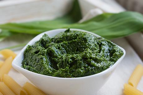 Pesto mit Bärlauch