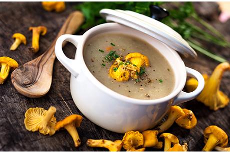 Eierschwamm Suppe